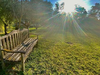 Grand jardin avec fontaine
