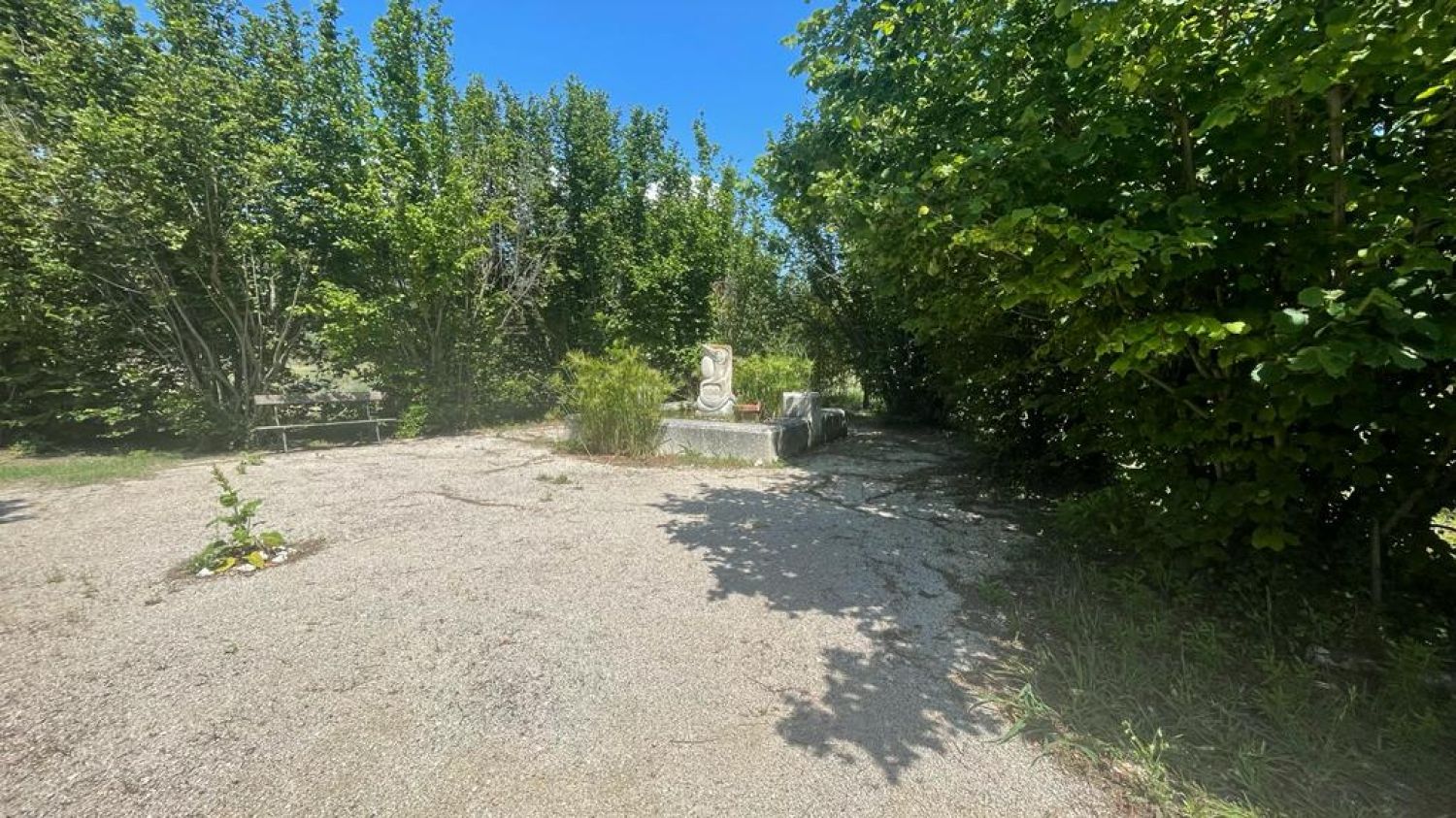 Grand jardin avec fontaine