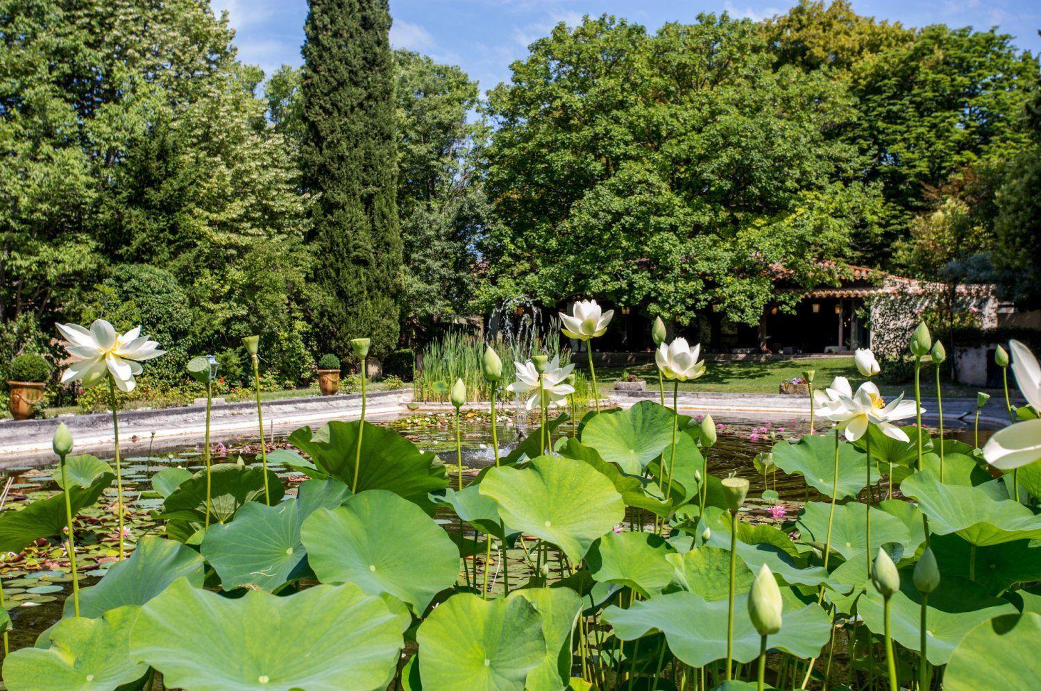 Lieu d'Événements d'Exception à Aix-en-Provence en Pleine Nature