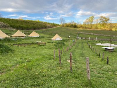 Three hectares in the countryside