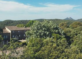 Magnificent estate surrounded by nature