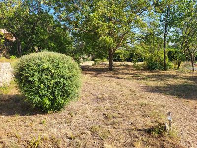 Outdoor property with playhouse