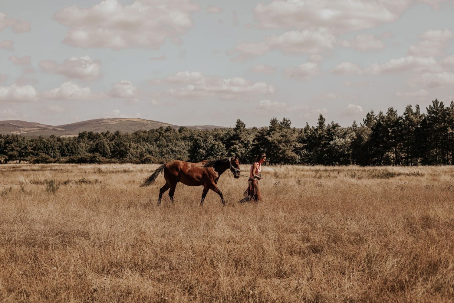 A Ranch in Provence