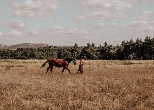 A Ranch in Provence