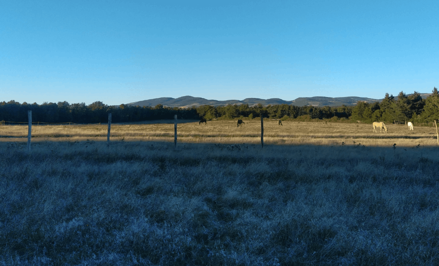 A Ranch in Provence