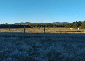 A Ranch in Provence