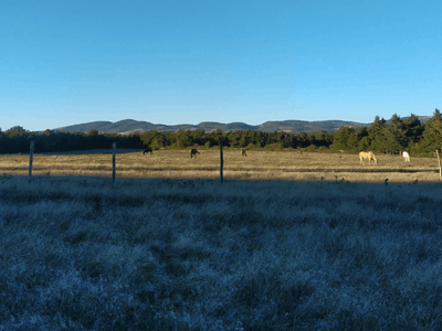 Un ranch en Provence