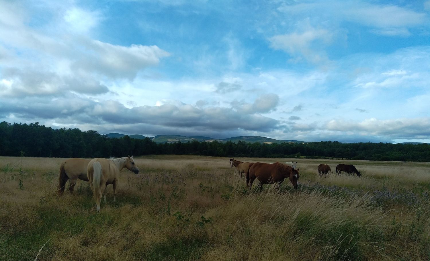 A Ranch in Provence