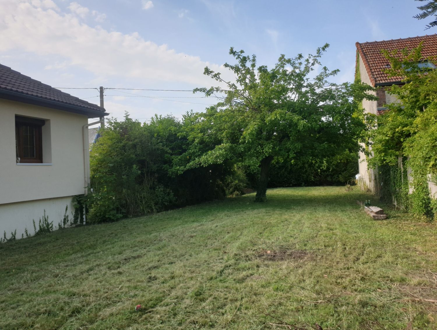 Terrain de 1000 m²