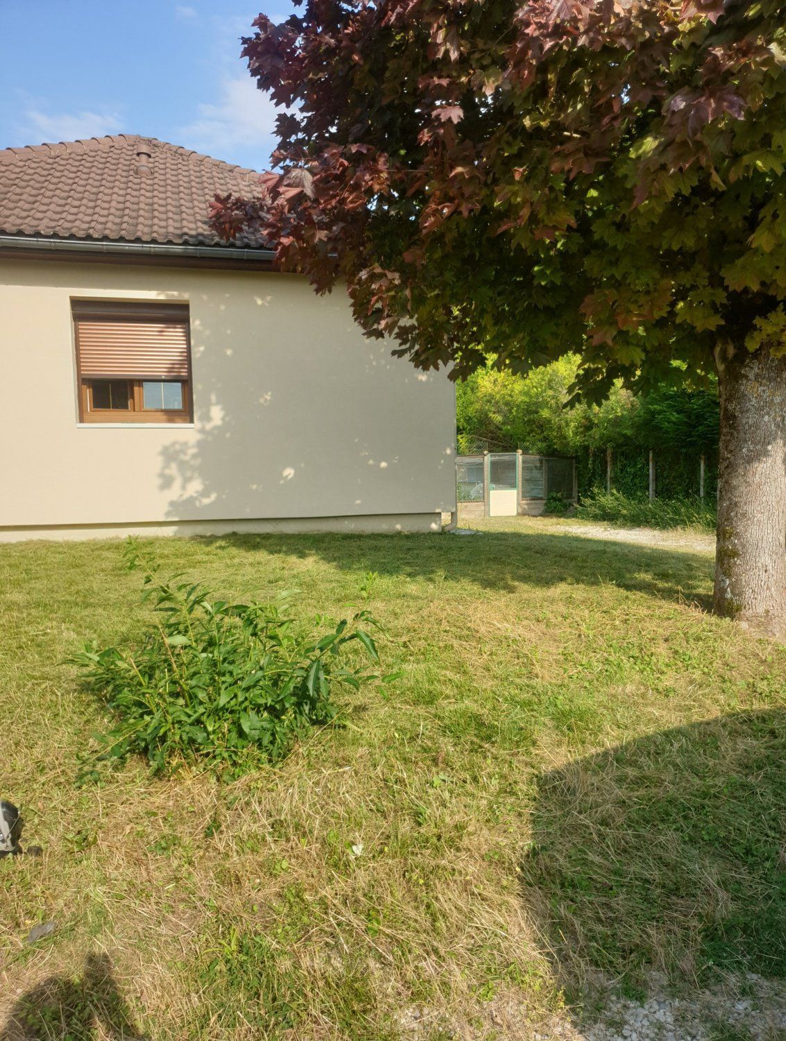 Terrain de 1000 m²