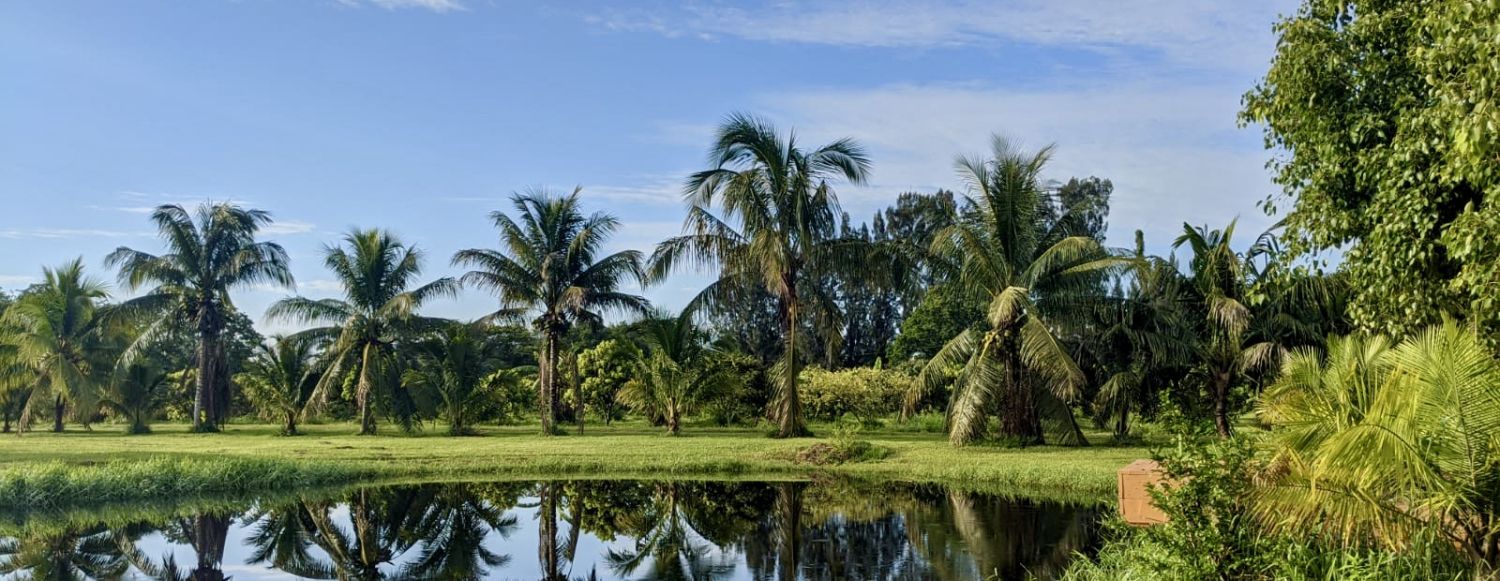 Oasis Tropicale + Centre de Retraite avec Toutes les Commodités !