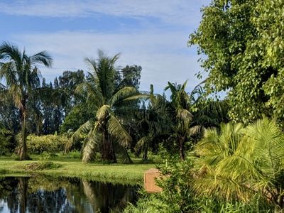 Tropical Oasis + Retreat Center with All Ammenities!