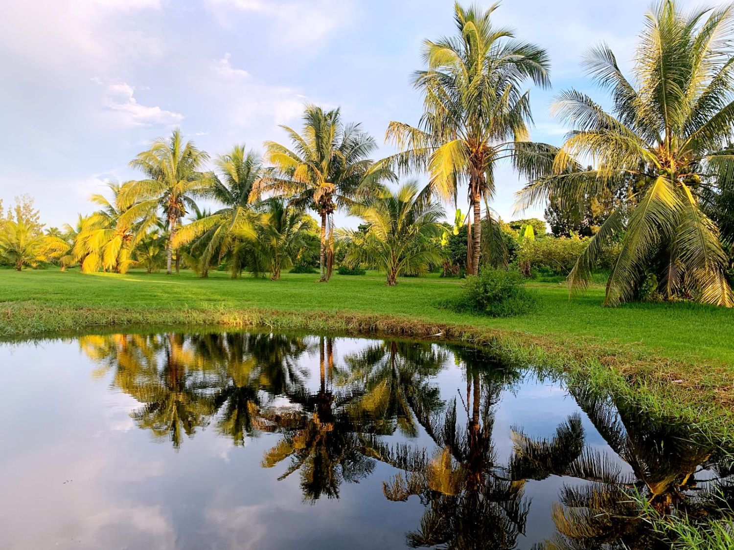 Oasis Tropicale + Centre de Retraite avec Toutes les Commodités !