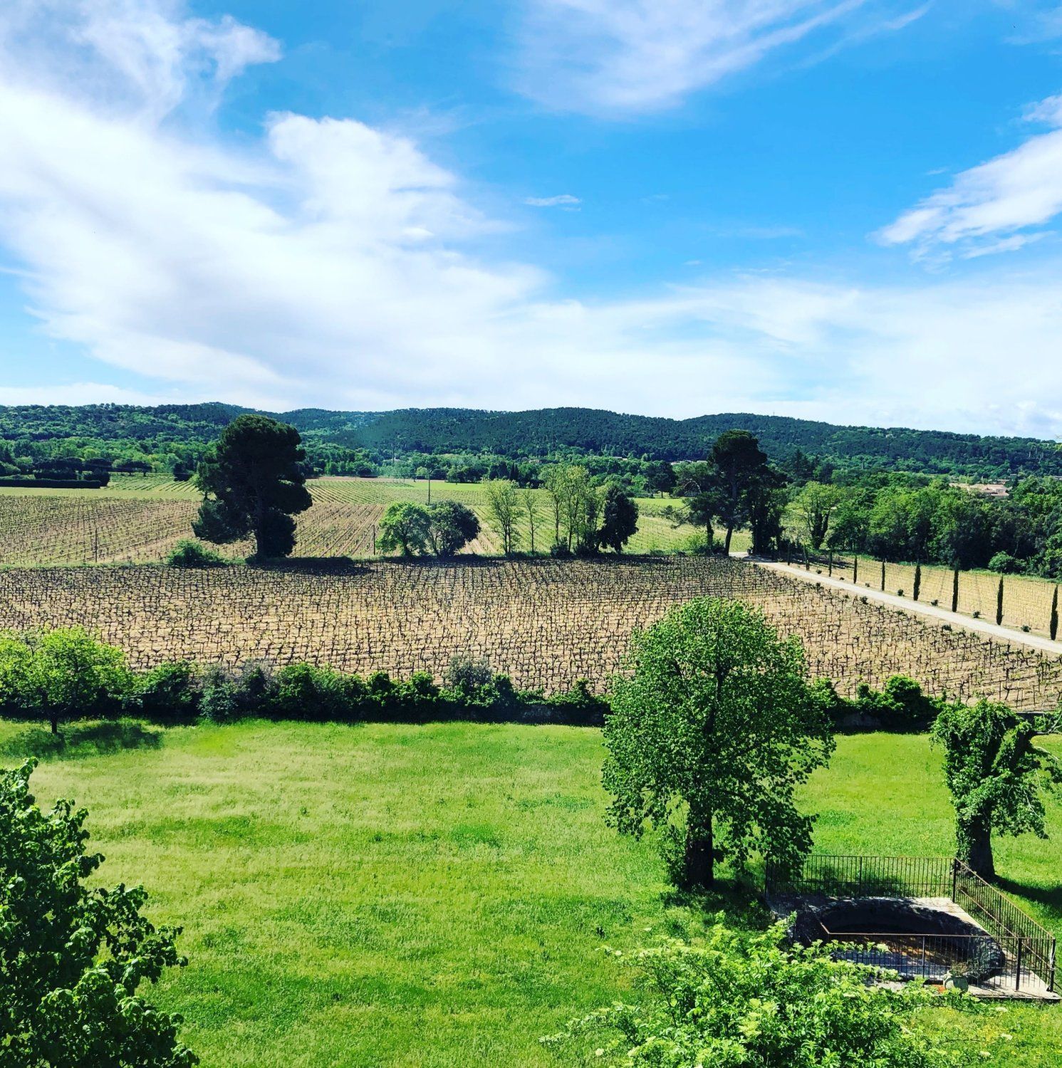 Château in the heart of the vineyards