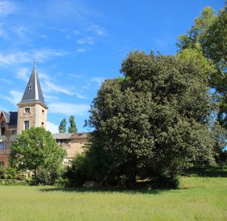 Château in the heart of the vineyards