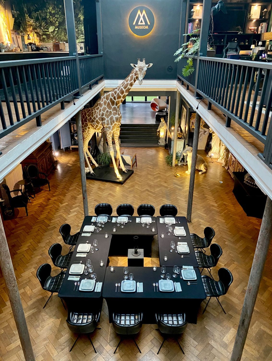 Loft spacieux - Jardin botanique de Tourcoing