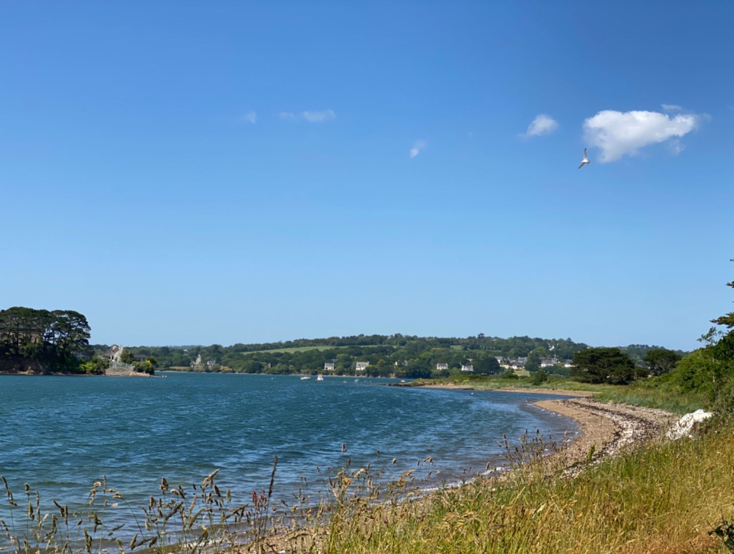 4 hectares les pieds dans l'eau 