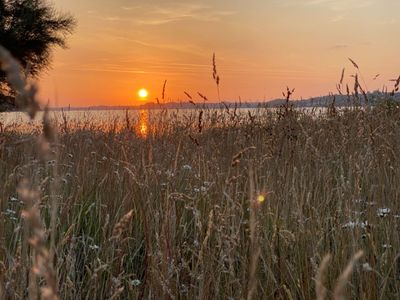 4 hectares with your feet in the water