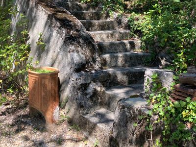 Terraced estate with woods