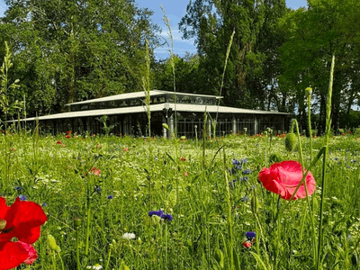 Château mystérieux et romantique dans la Vallée de la Loire