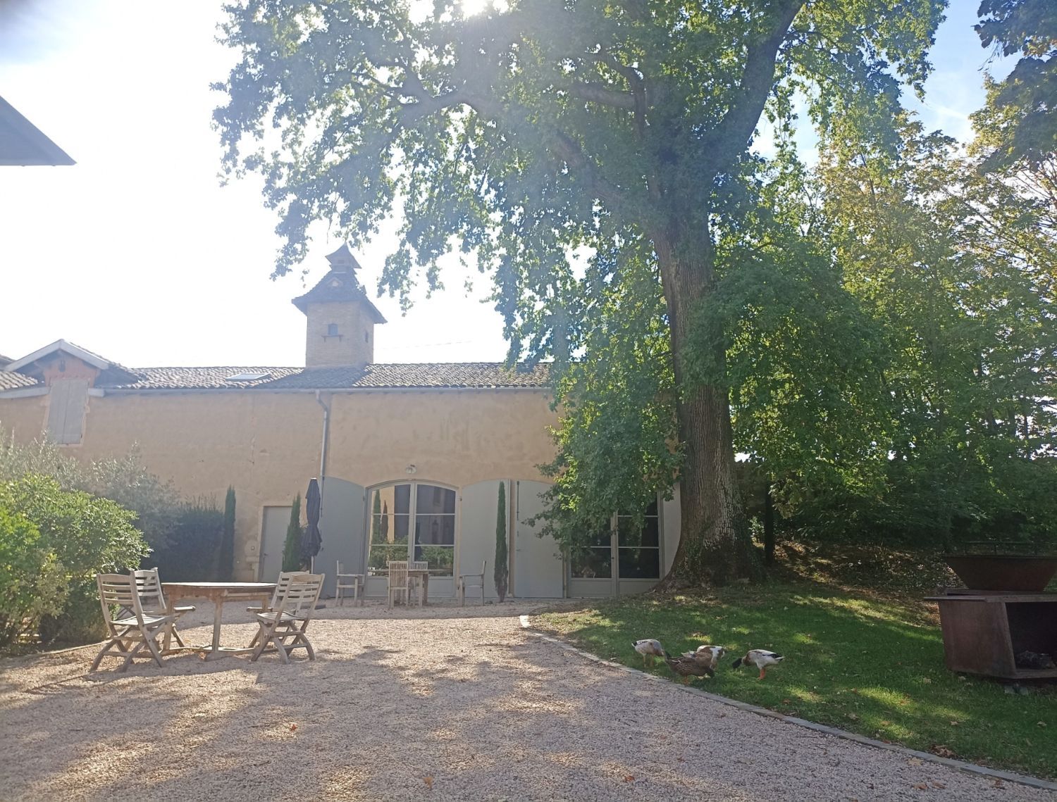 Château with vines in Beaujolais