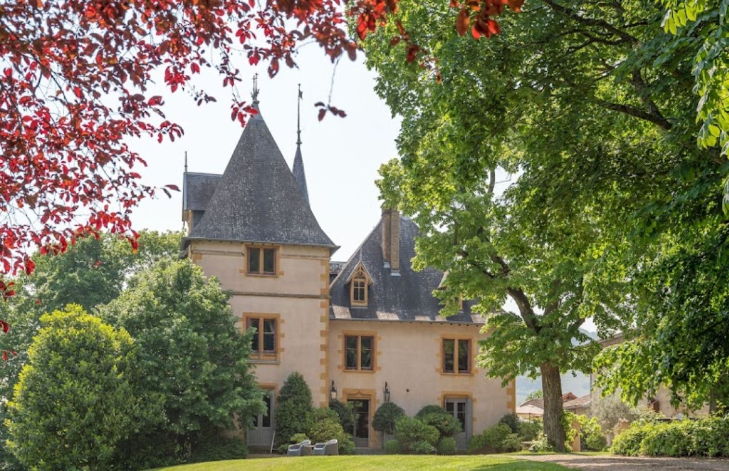 Château with vines in Beaujolais