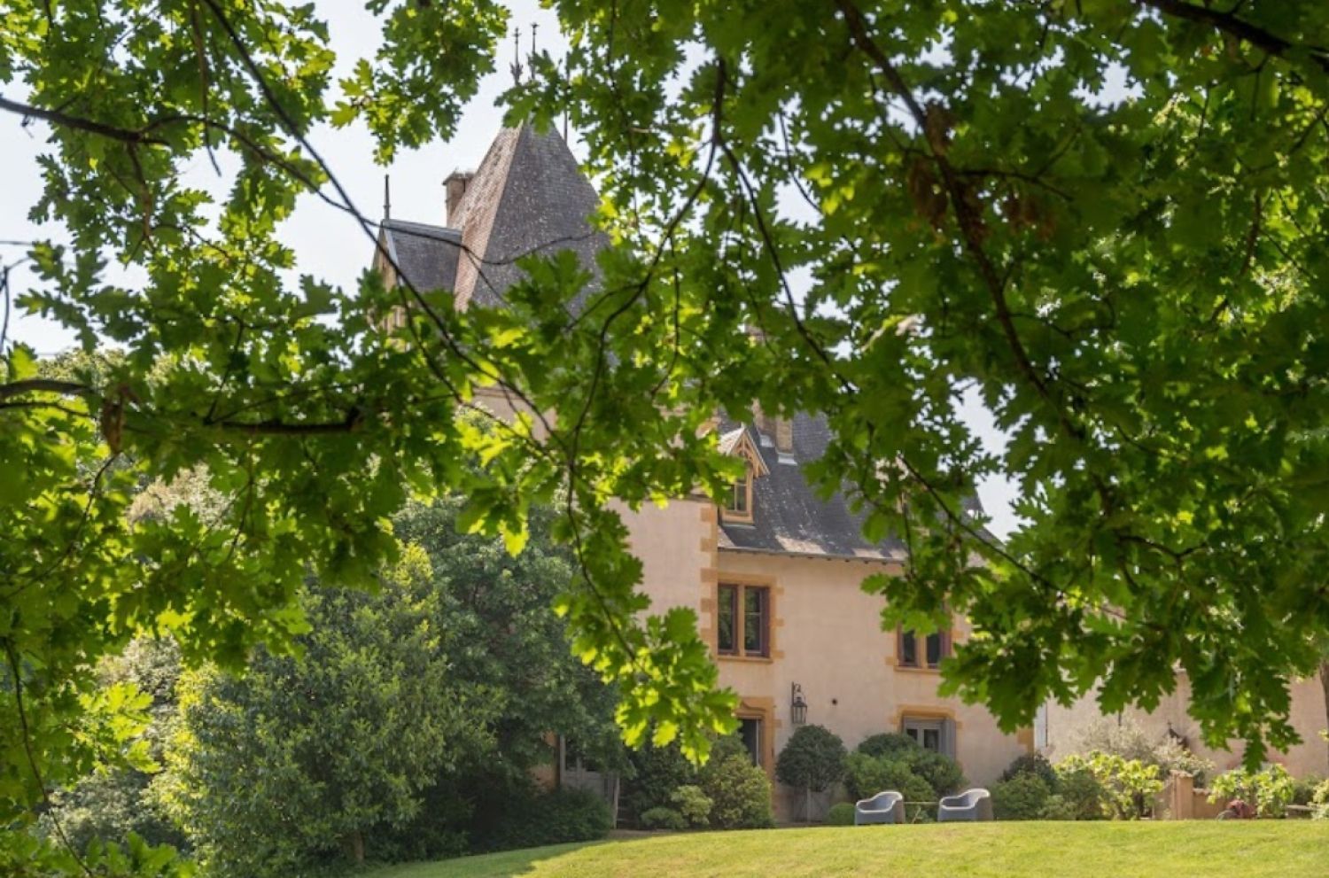 Château with vines in Beaujolais