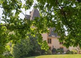 Château with vines in Beaujolais