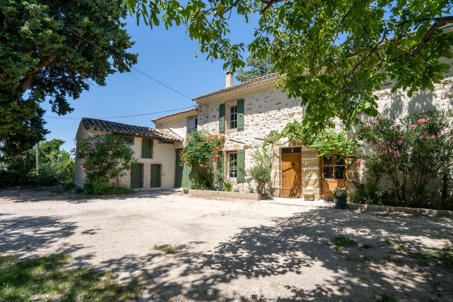 Mas surrounded by vines and olive trees