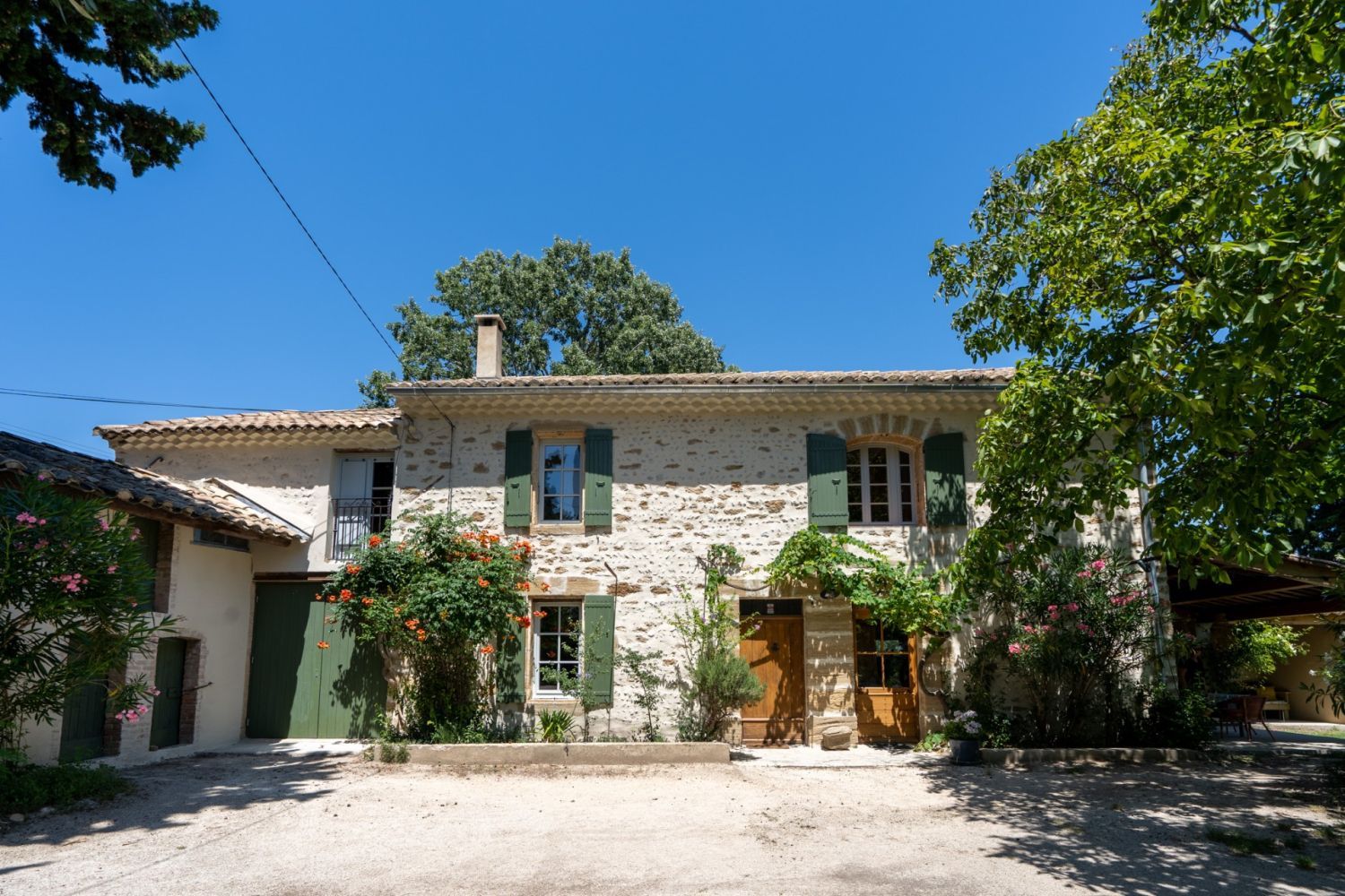 Mas surrounded by vines and olive trees