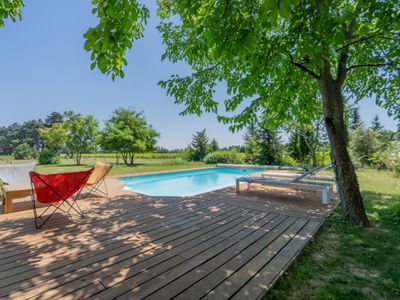 Mas surrounded by vines and olive trees