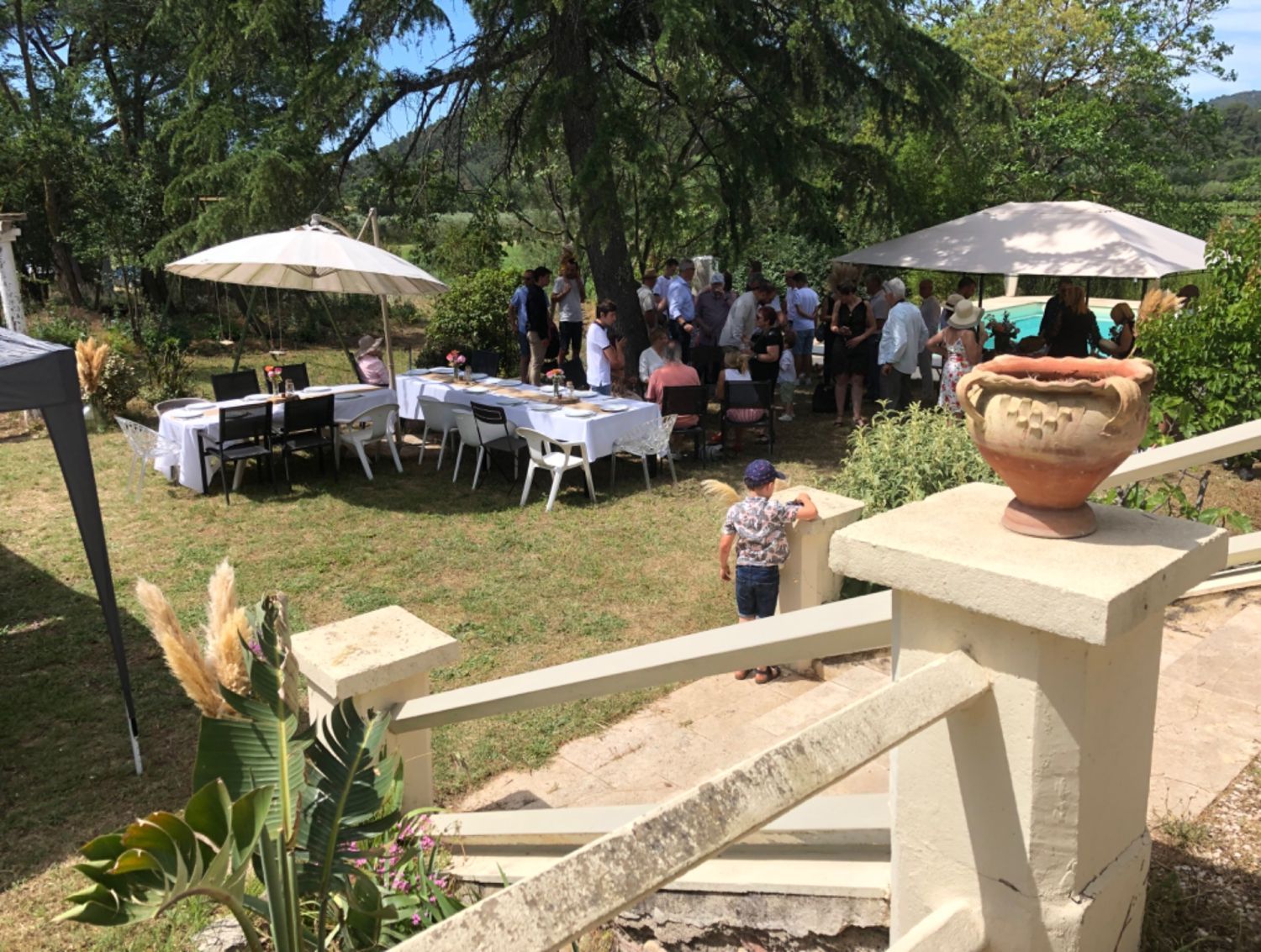 Domaine avec grand terrain et piscine 