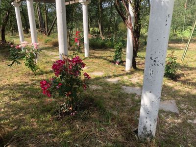 Estate with large land and swimming pool