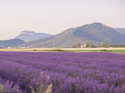 Castle in the heart of Lavande