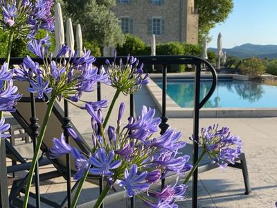 Castle in the heart of Lavande