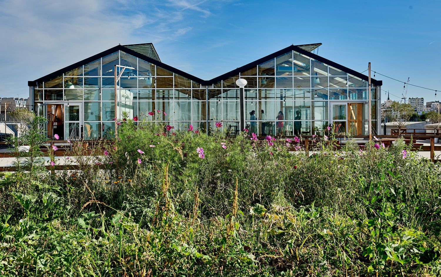 Green Rooftop & Urban Farm : Lieu d'Événements Engagé à Paris