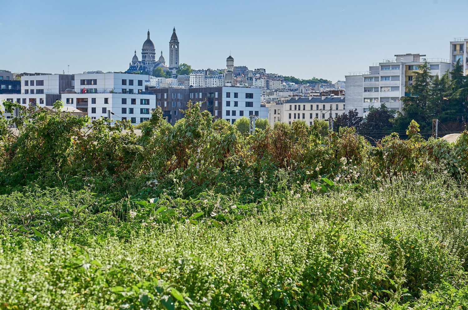 Green Rooftop & Urban Farm : Lieu d'Événements Engagé à Paris