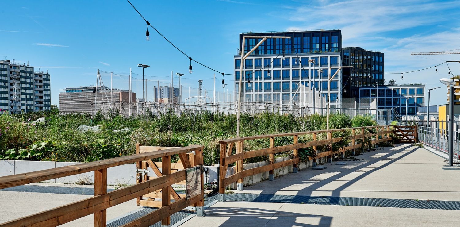 Green Rooftop & Urban Farm : Lieu d'Événements Engagé à Paris