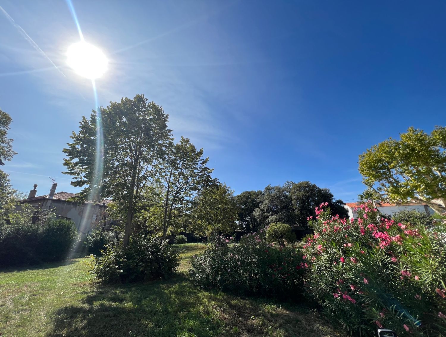 Garden - charming villa in Marseille