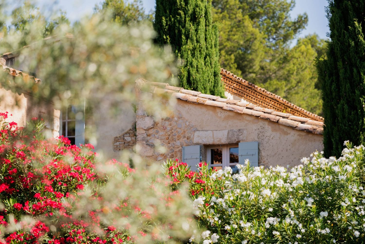 Maisons de copains au cœur des Alpilles