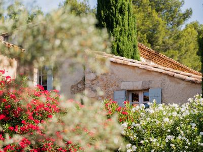 Maisons de copains au cœur des Alpilles