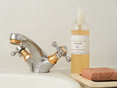 Dutch speedboat with boatman