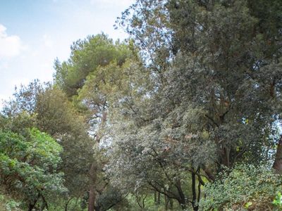 Luxury Château in Calanques National Park