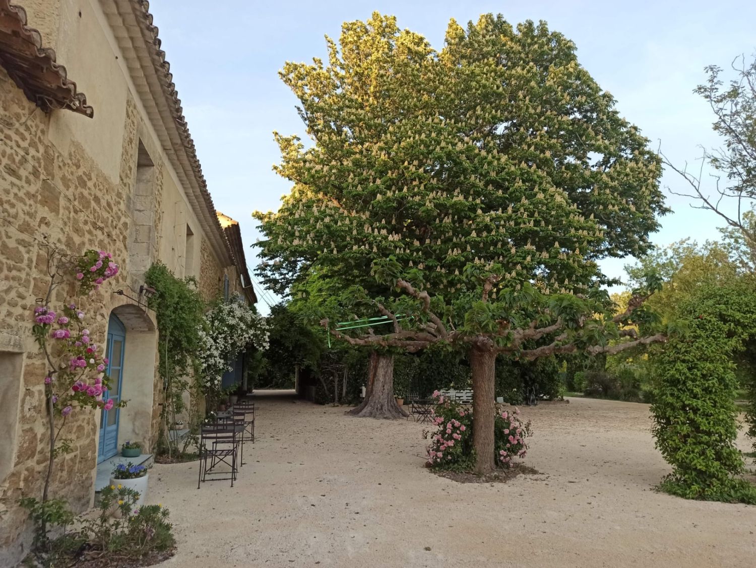 Exceptional farmhouse in Vaucluse