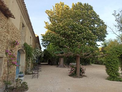  Mas d'exception dans le Vaucluse 