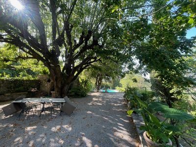 Provencal estate with swimming pool and large land