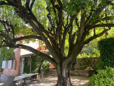 Provencal estate with swimming pool and large land