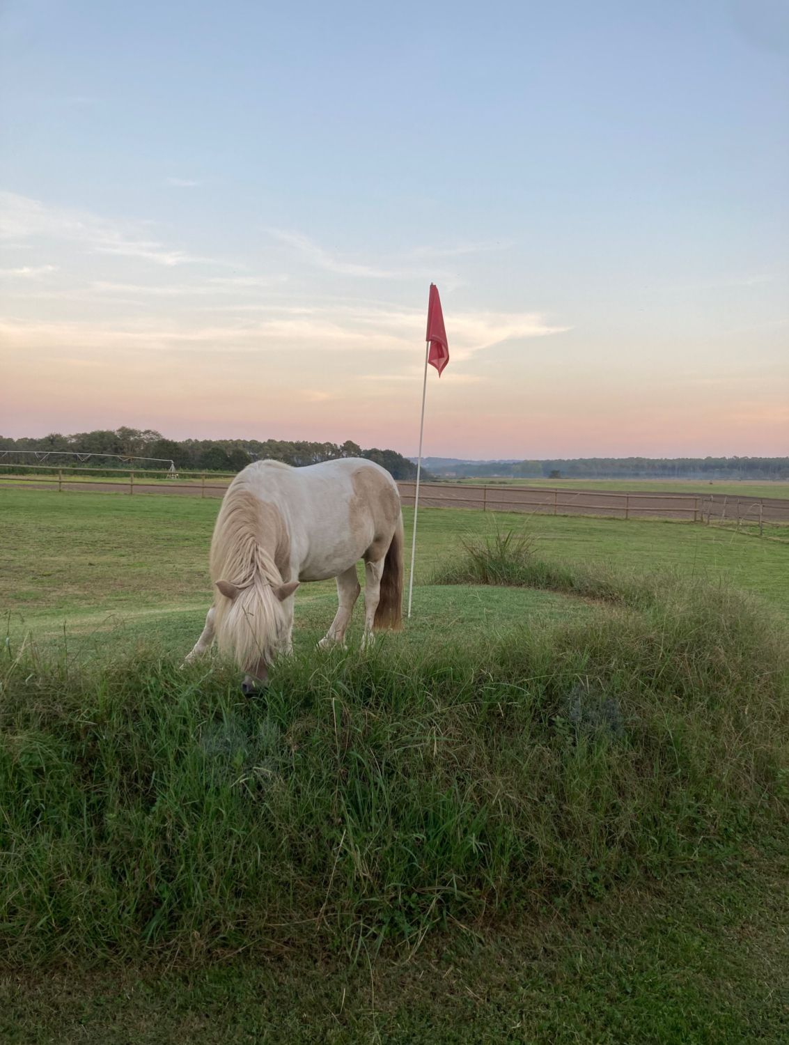 Upscale Ranch & Golf