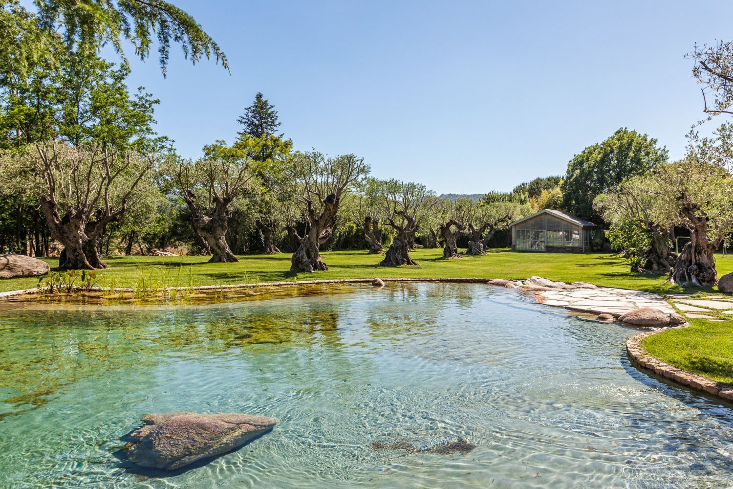 Magnificent Estate in Saint-Tropez