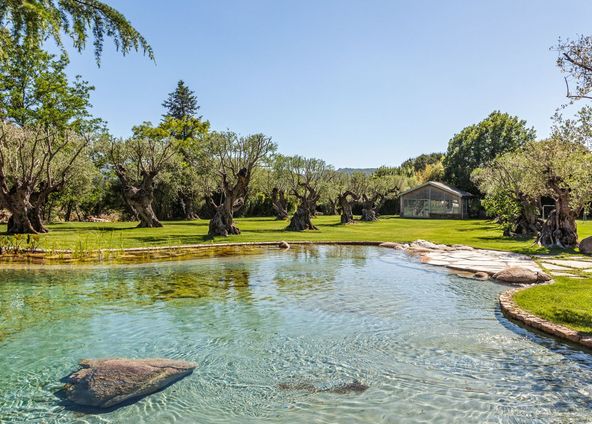 Magnificent Estate in Saint-Tropez